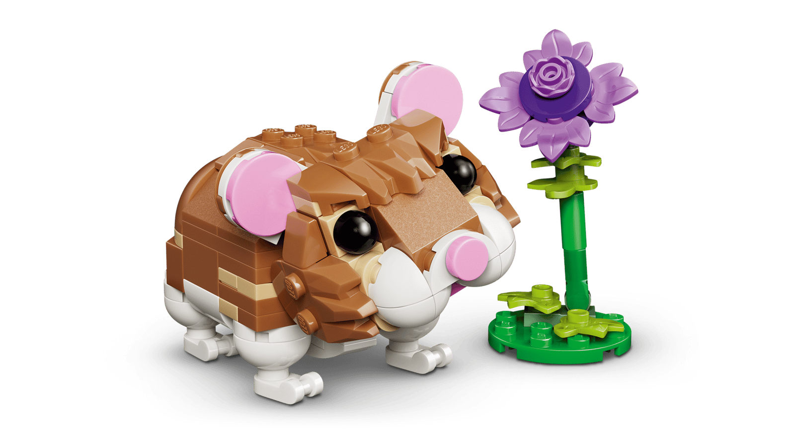 HAMSTER CON FLOR 3 en 1