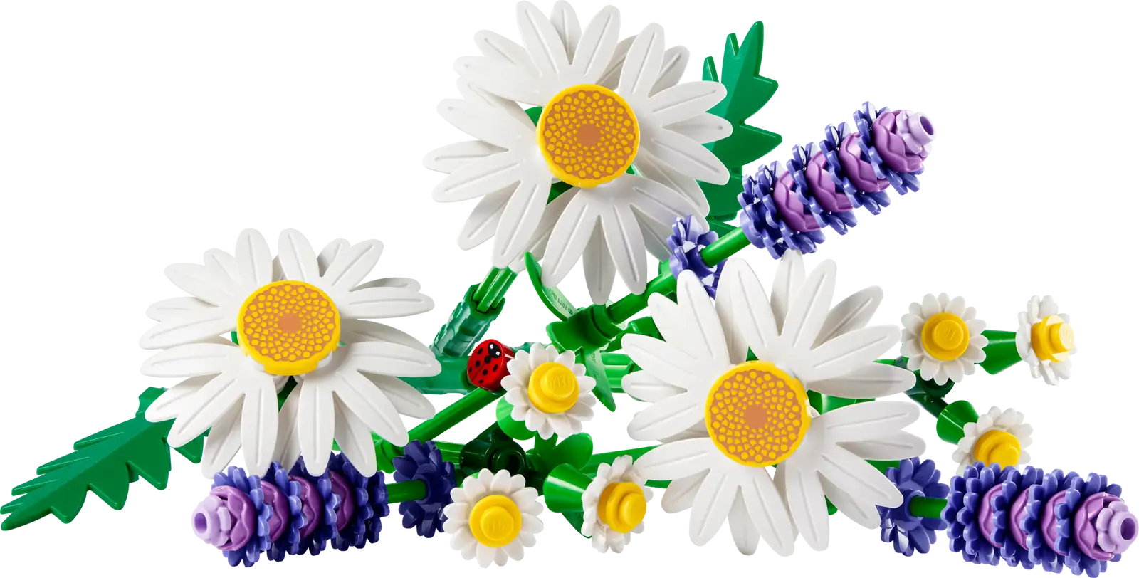MARGARITAS DAISIES