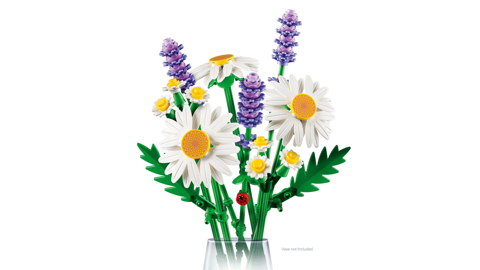 MARGARITAS DAISIES