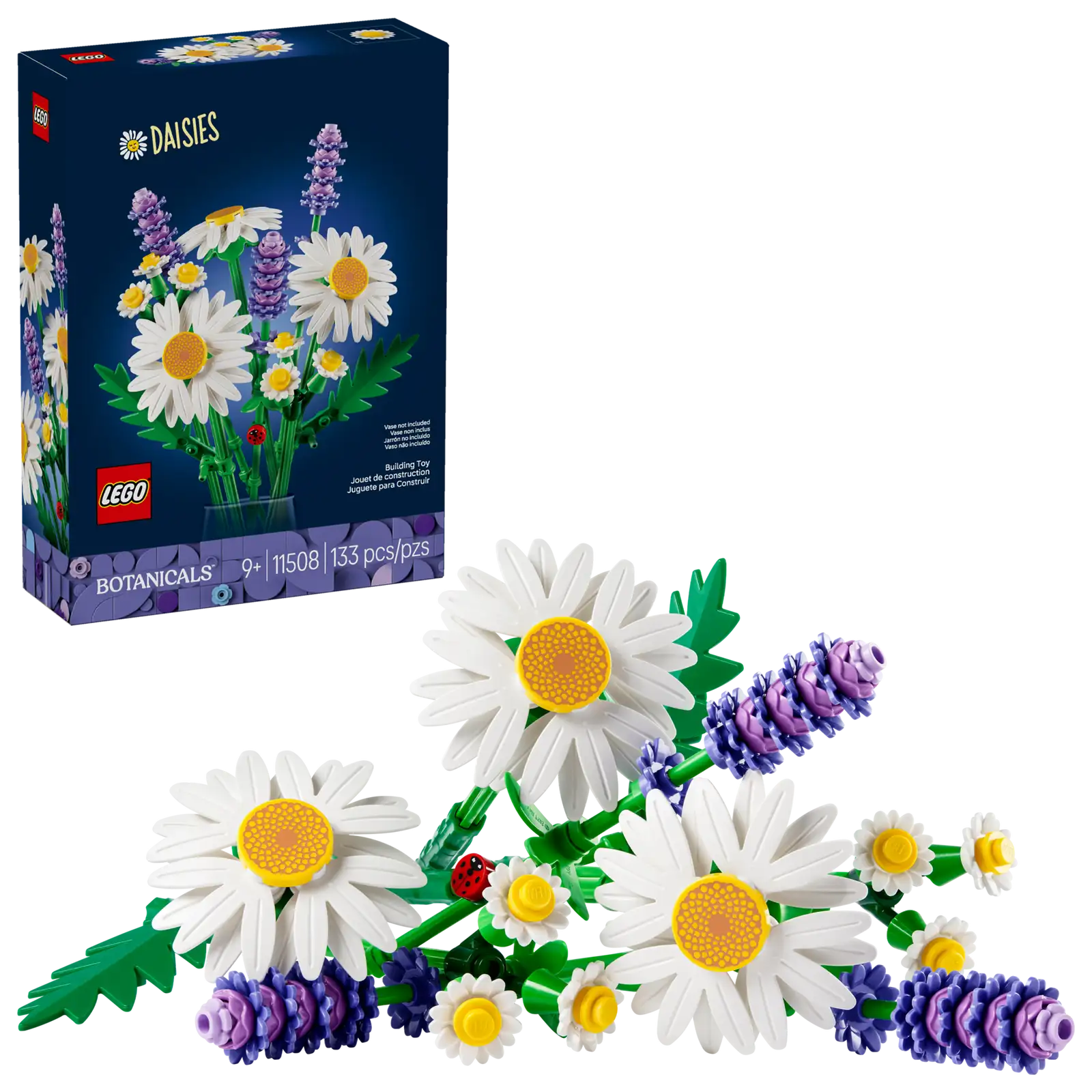 MARGARITAS DAISIES