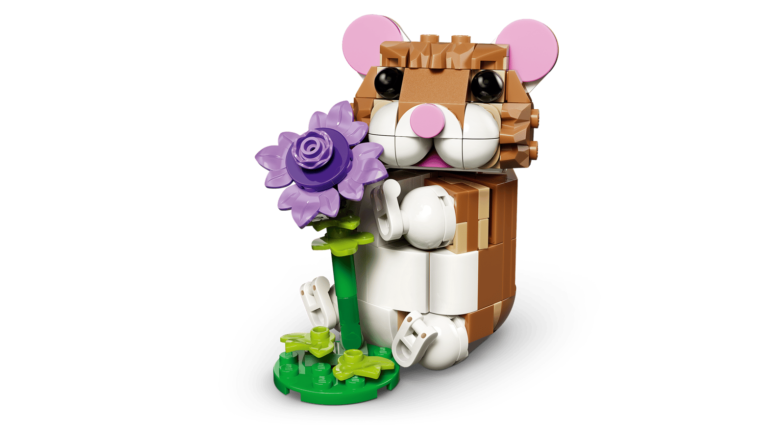 HAMSTER CON FLOR 3 en 1